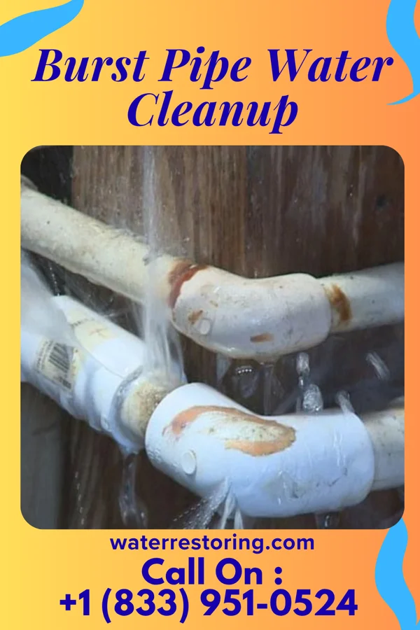 Burst Pipe Water Cleanup in Pennside, PA