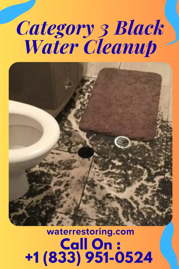 Category 3 Black Water Cleanup in Pennside, PA