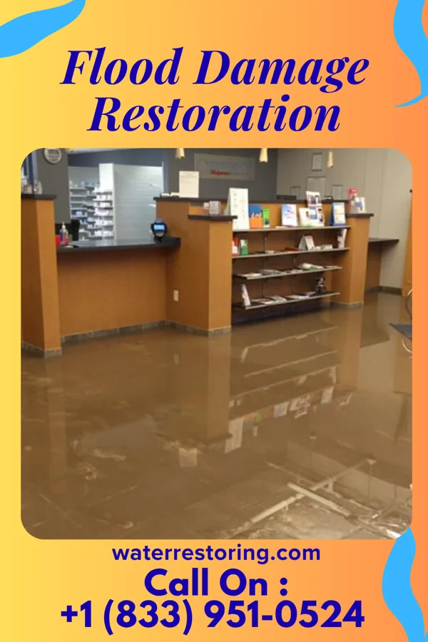 Flood Damage Restoration in Pennside, PA