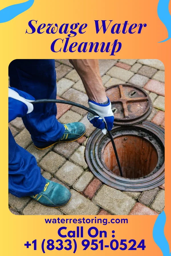 Sewage Water Cleanup in Pennside, PA