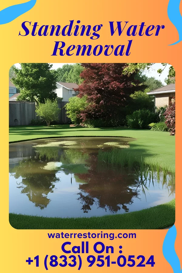 Standing Water Removal in Pennside, PA